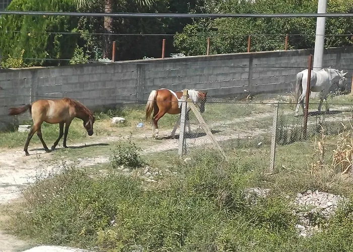 Villa Likaj